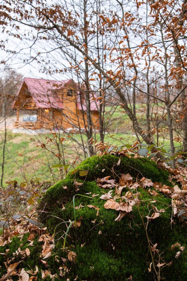 Brvnaria Villa Slatina Varoš Buitenkant foto